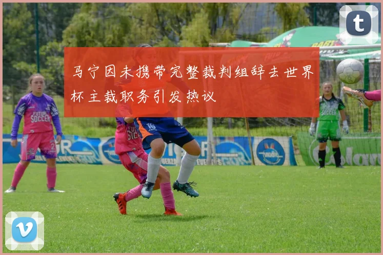 马宁因未携带完整裁判组辞去世界杯主裁职务引发热议